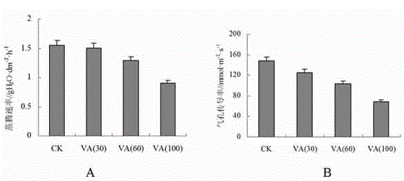 Application of vanadate to improvement of soil cultivated plant drought resistant stress