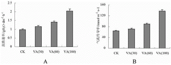 Application of vanadate to improvement of soil cultivated plant drought resistant stress