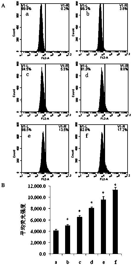 Application of hypholomethine B in preparation of immune activator