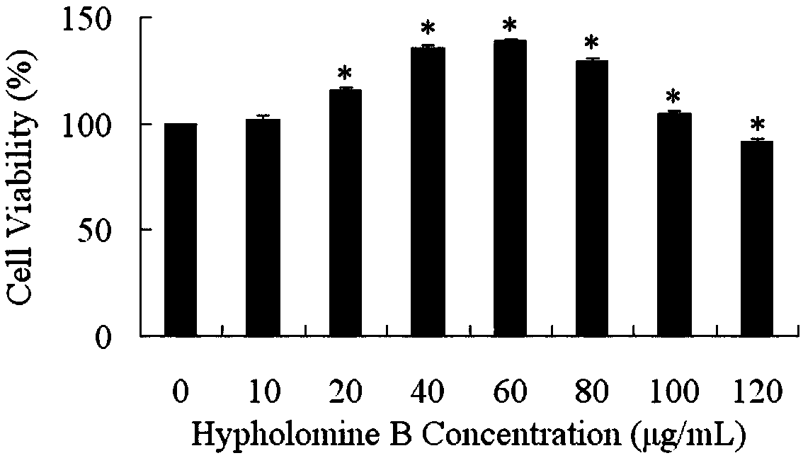 Application of hypholomethine B in preparation of immune activator