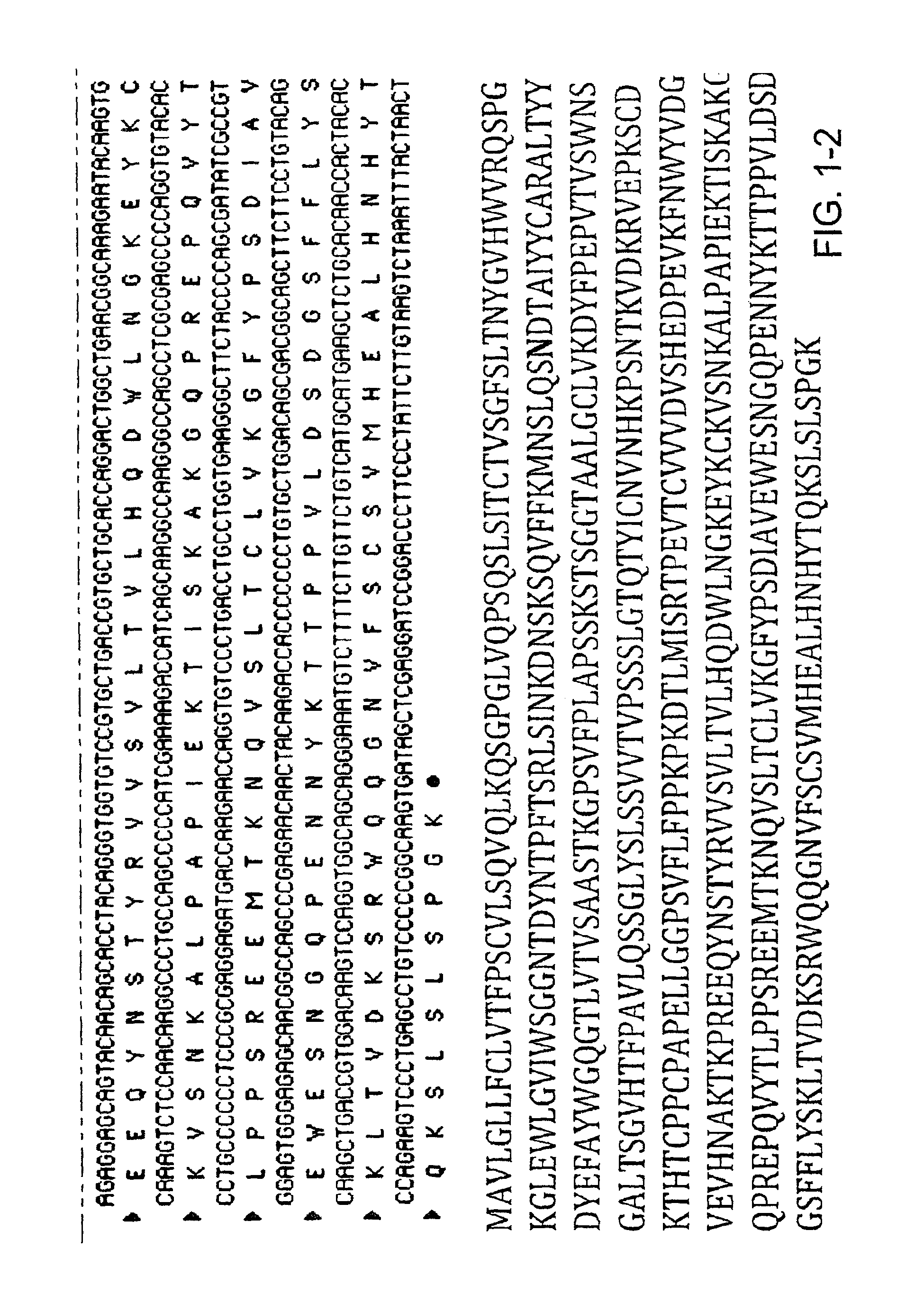 Cetuximab with modified glycosylation and uses thereof