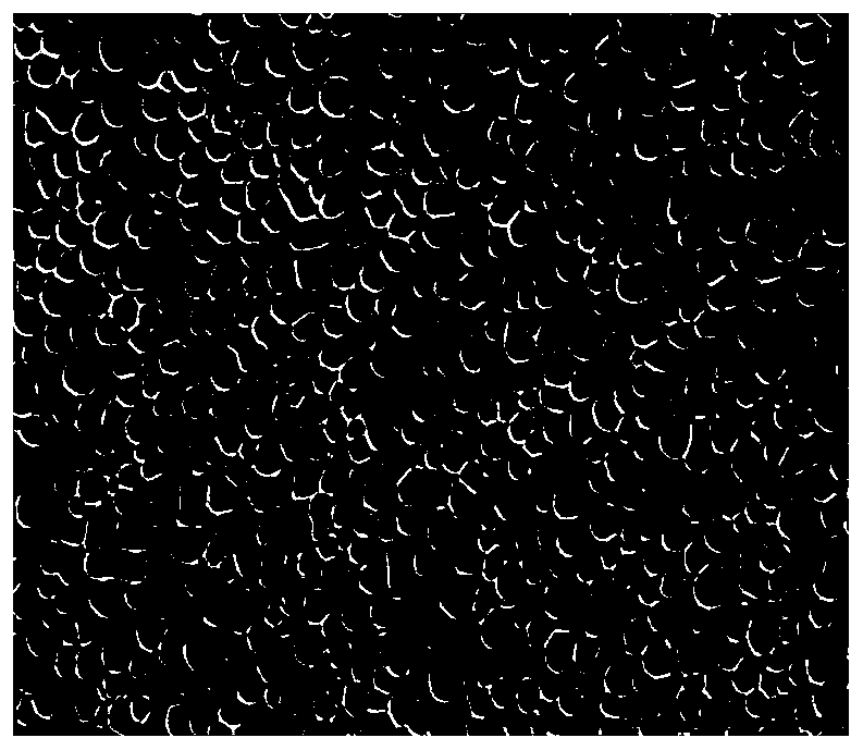 a kind of  <sub>3</sub> The Construction Method of Al-based Alloy Representing Volume Element Model