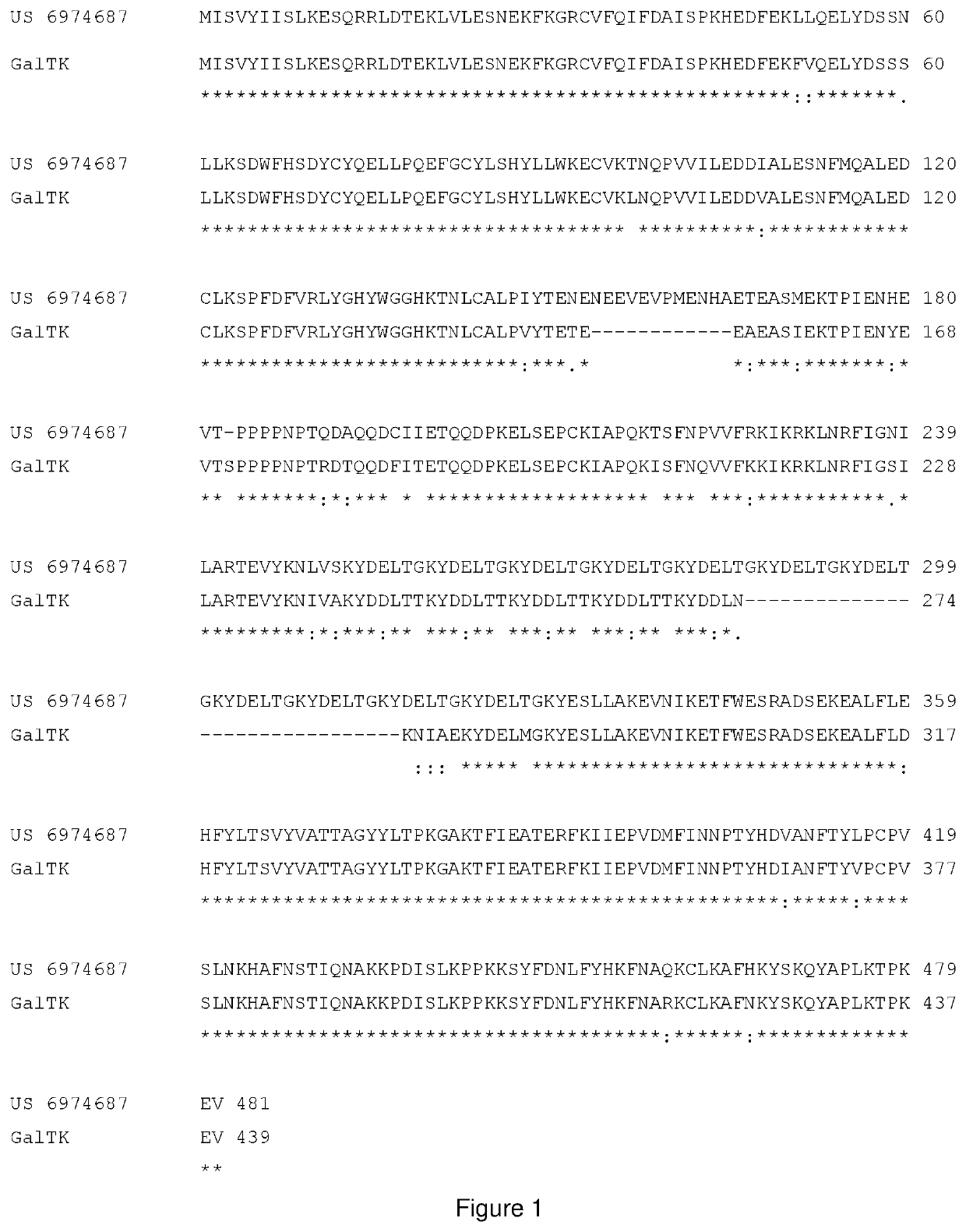 Synthesis of the fucosylated oligosaccharide lnfp-v