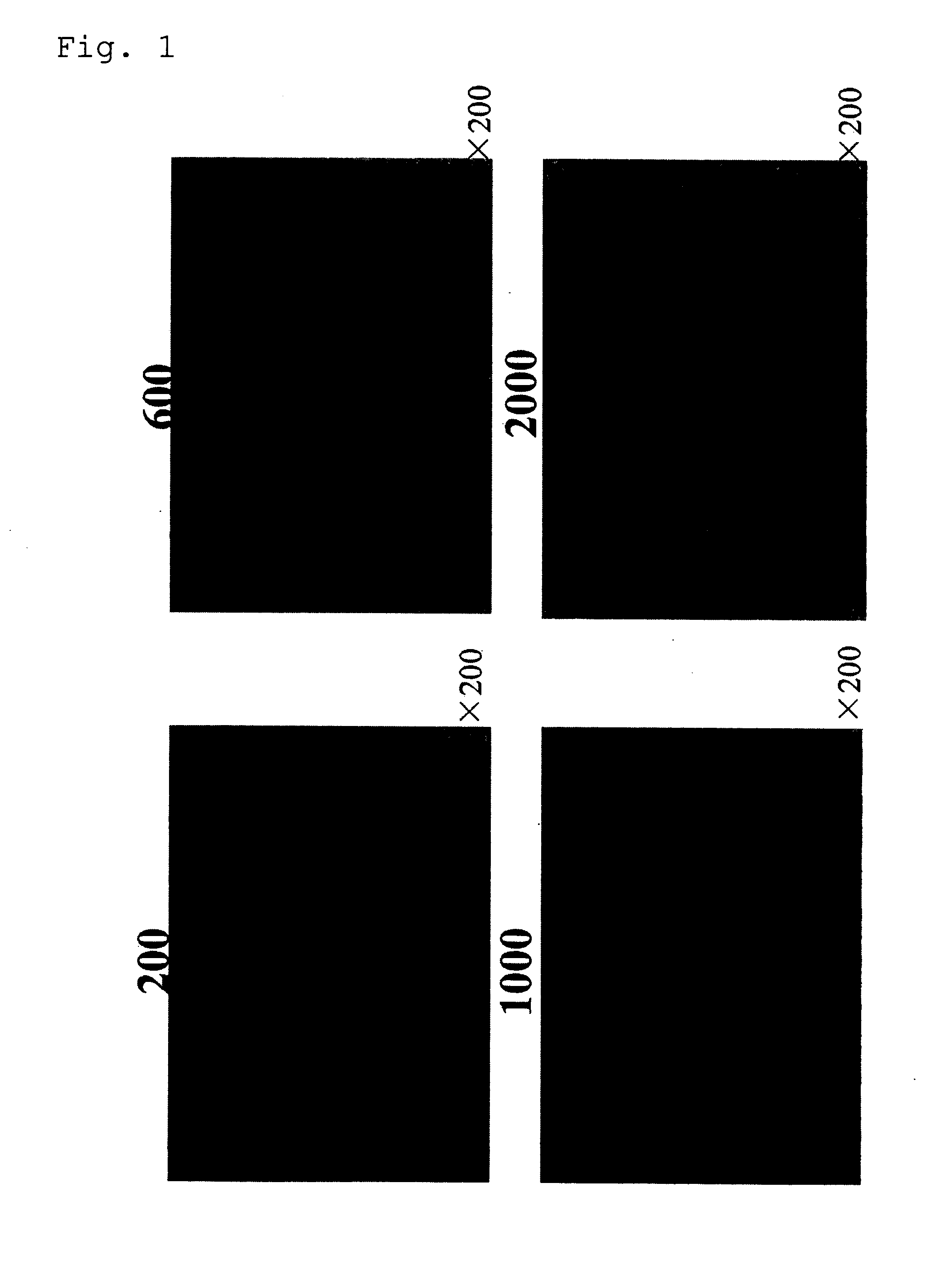 Decellularized Tissue and Method of Preparing the Same