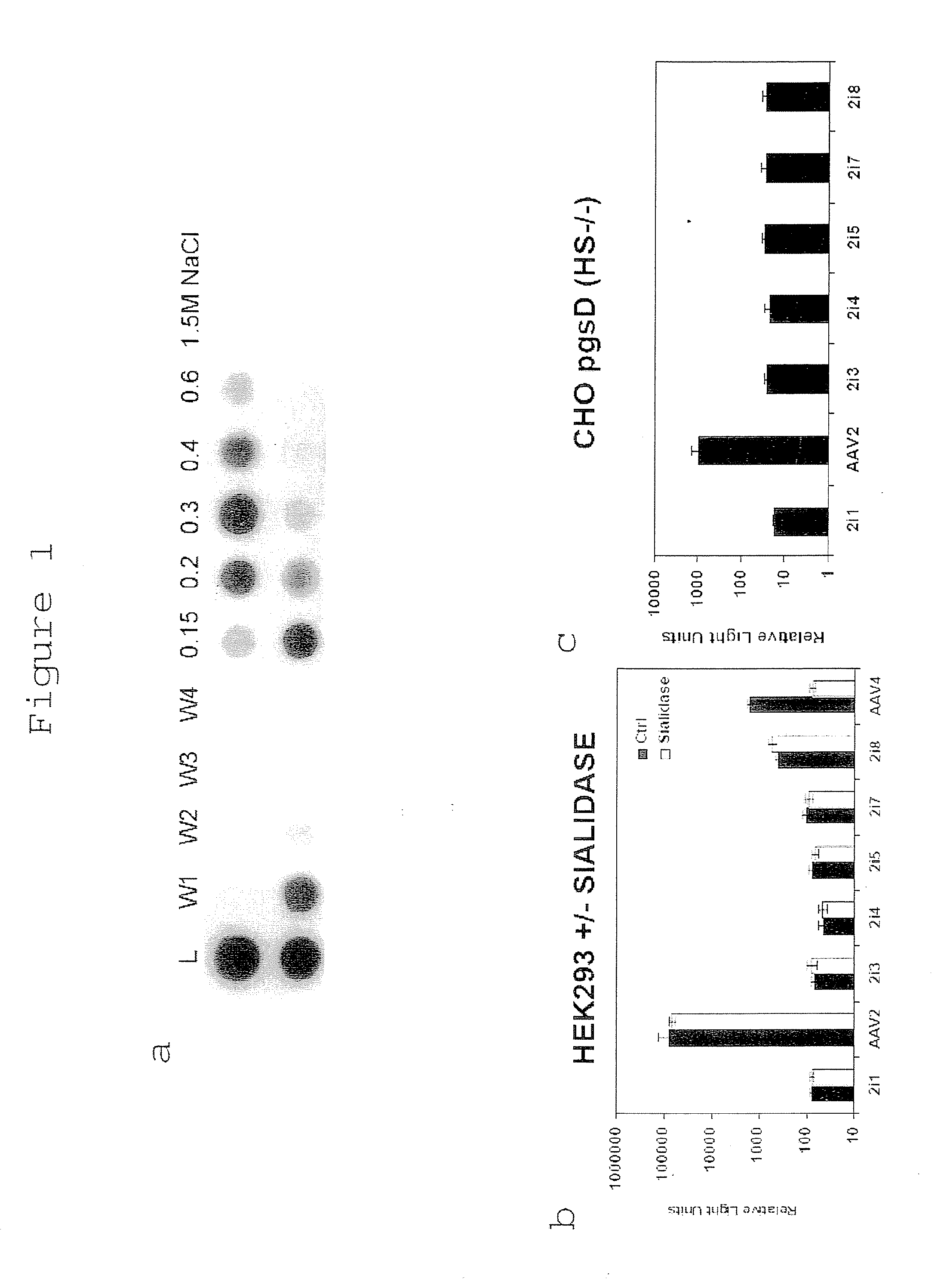 Modified Virus Vectors and Methods of Making and Using the Same