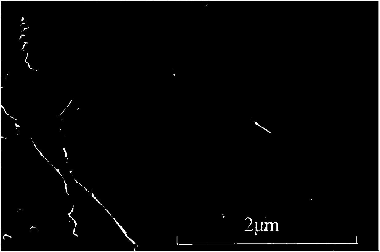 A kind of negative electrode material of sodium ion battery and preparation method thereof, sodium ion battery