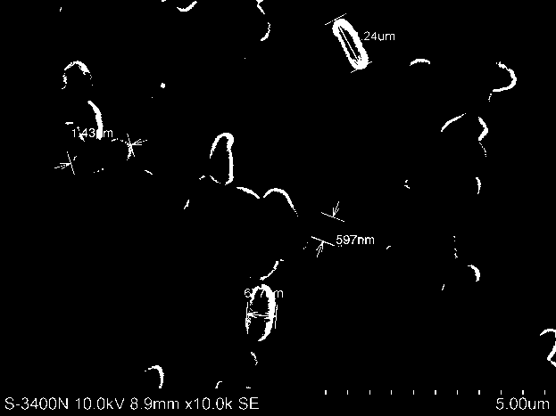 A Strain of Enterobacter cloacae and Its Application