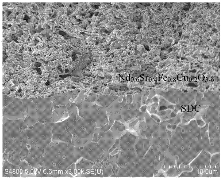 Non-cobalt IT-SOFC (Intermediate-Temperature Solid Oxide Fuel Cell) stable anode material and application thereof