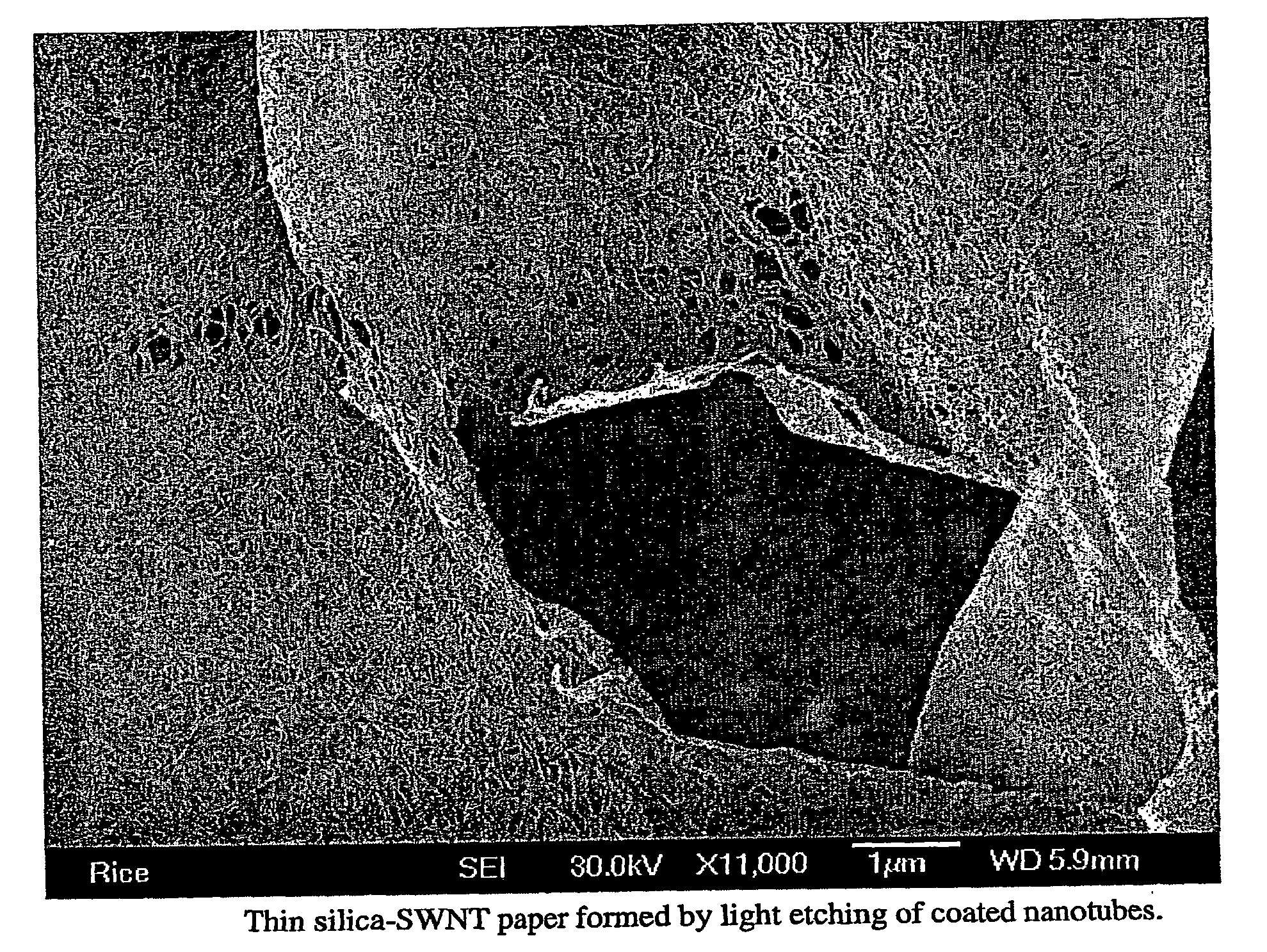 Coated Fullerenes, Compositions And Dielectrics Made Therefrom