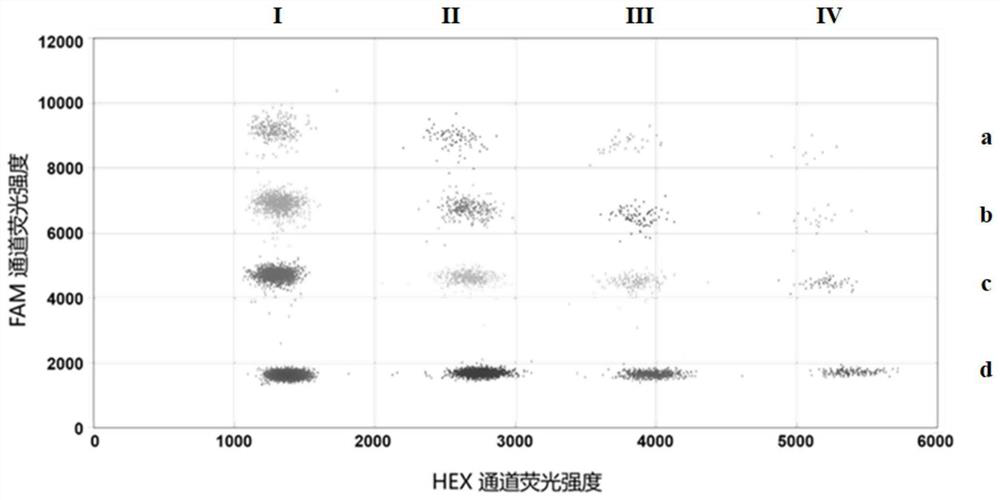 Primer probe combination for detecting female vaginal microorganisms based on quadruple droplet digital PCR and application of primer probe combination