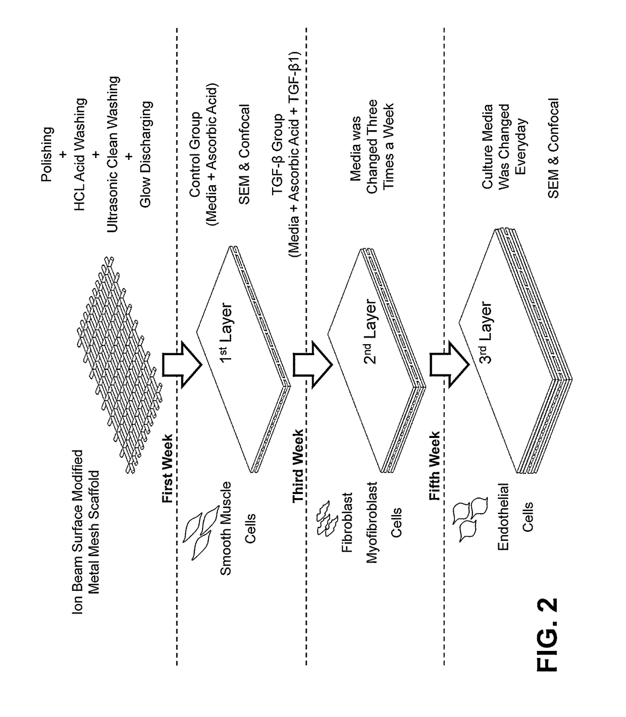 Mesh enclosed tissue constructs