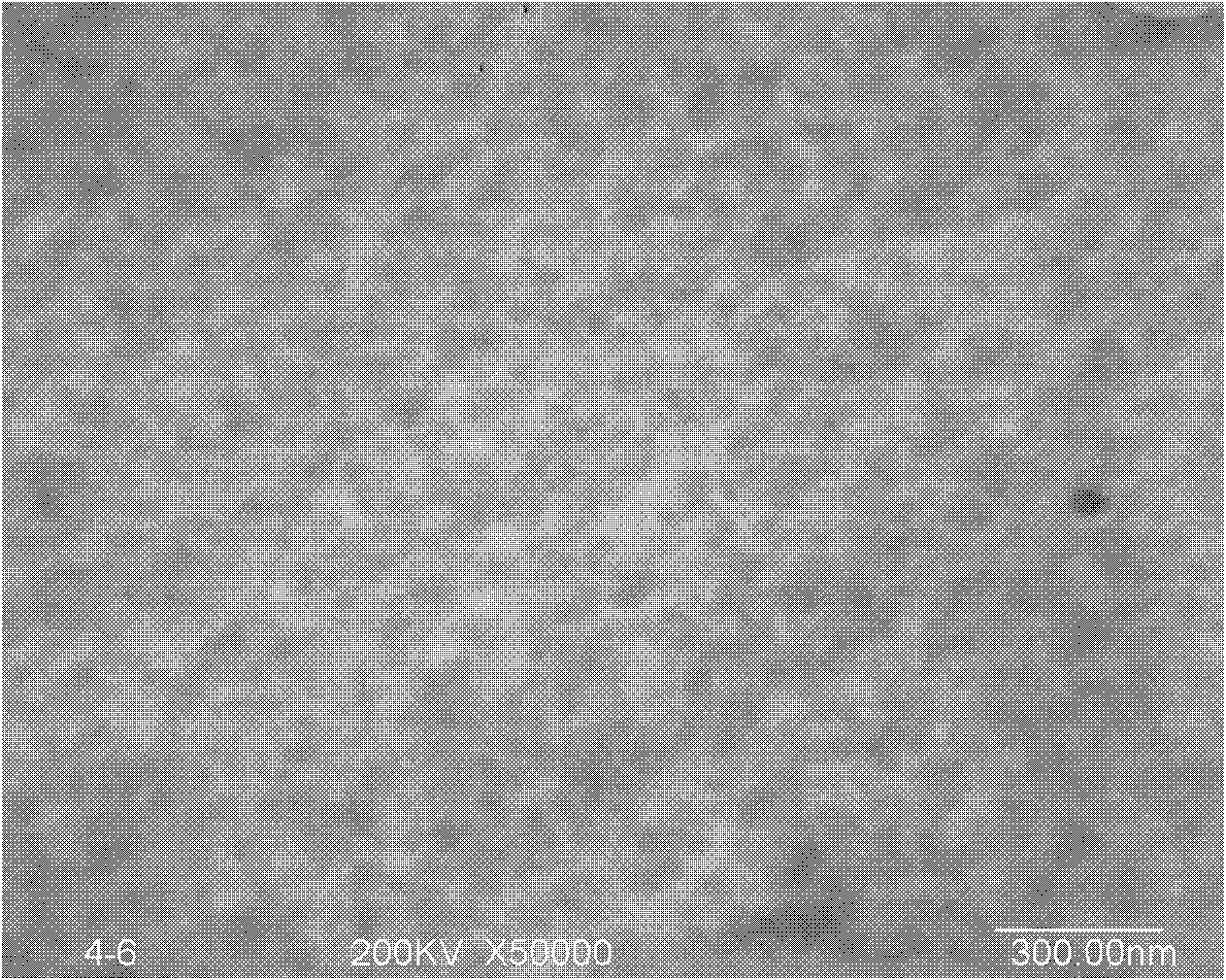 Preparation method of styrene butadiene rubber liquid slurry added with white carbon black and product prepared by using same