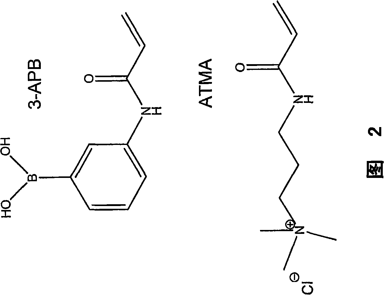 Novel boronate complex and its use in a glucose sensor
