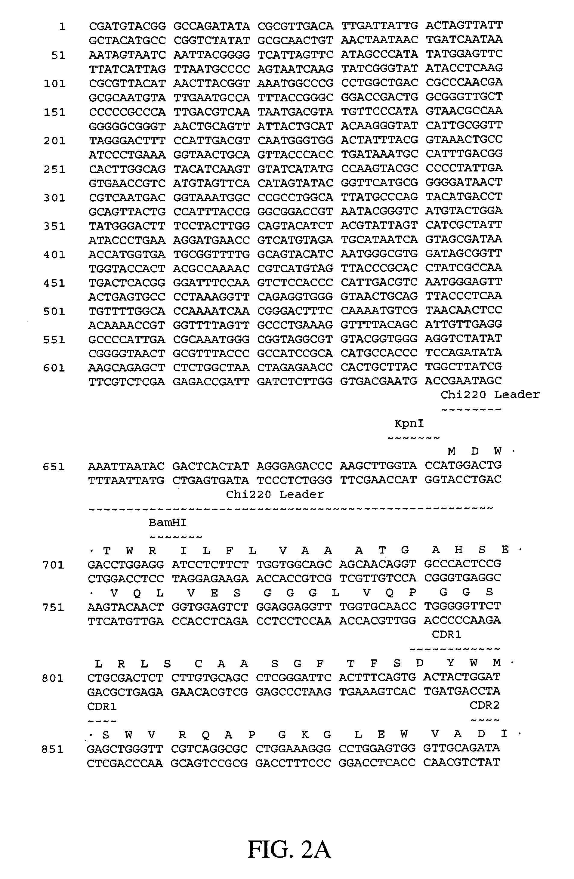 Polynucleotides encoding humanized antibodies against human 4-1BB