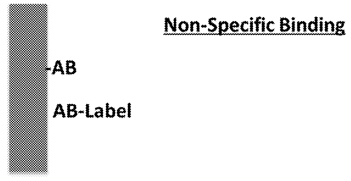 Immunoassay with enhanced sensitivity