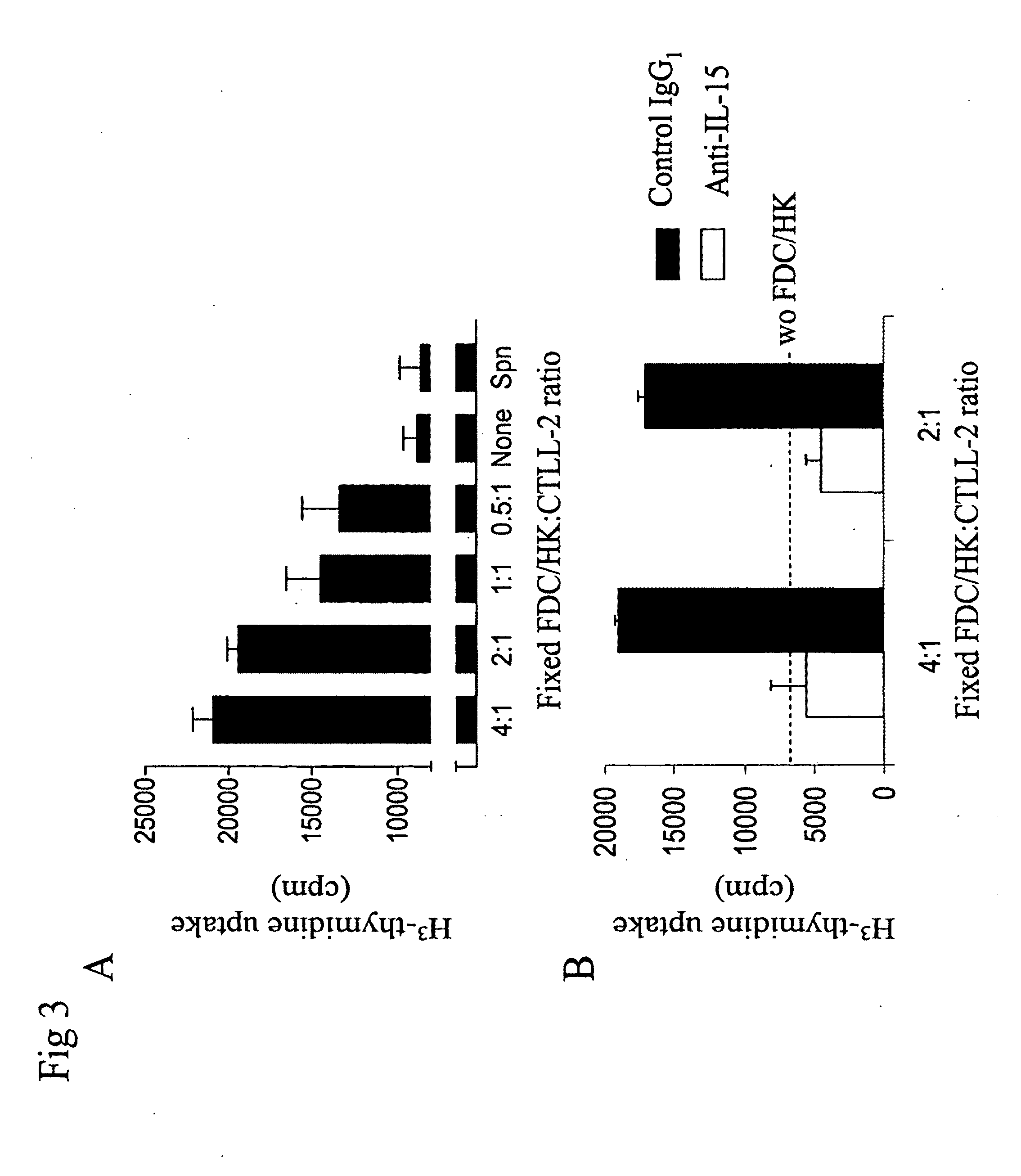 Enhancement of B cell proliferation by IL-15