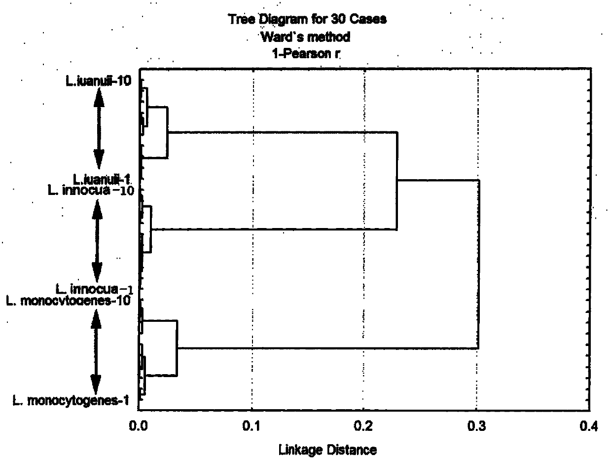 Method for classifying and identifying three kinds of Listeriosis by Fourier transform infrared spectrometry technology