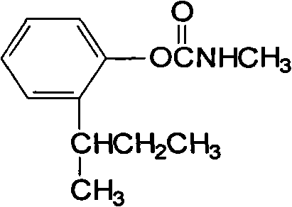 Insecticidal composition containing nitenpyram and fenobucarb