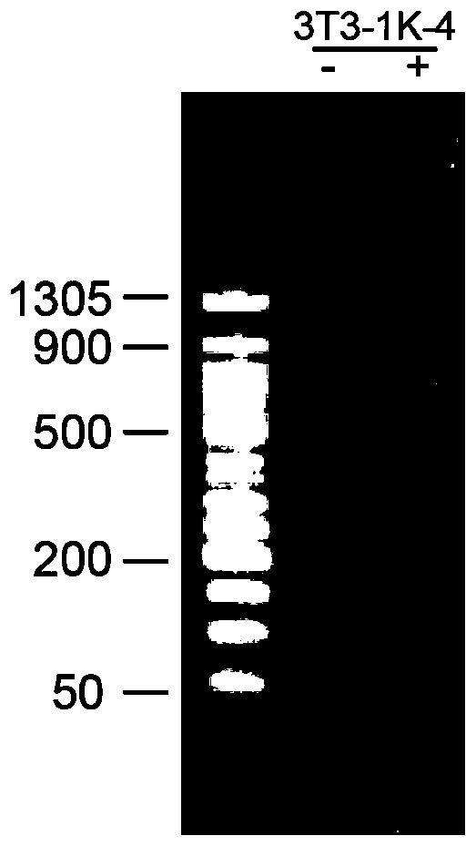 Method for constructing DNA library and application of method