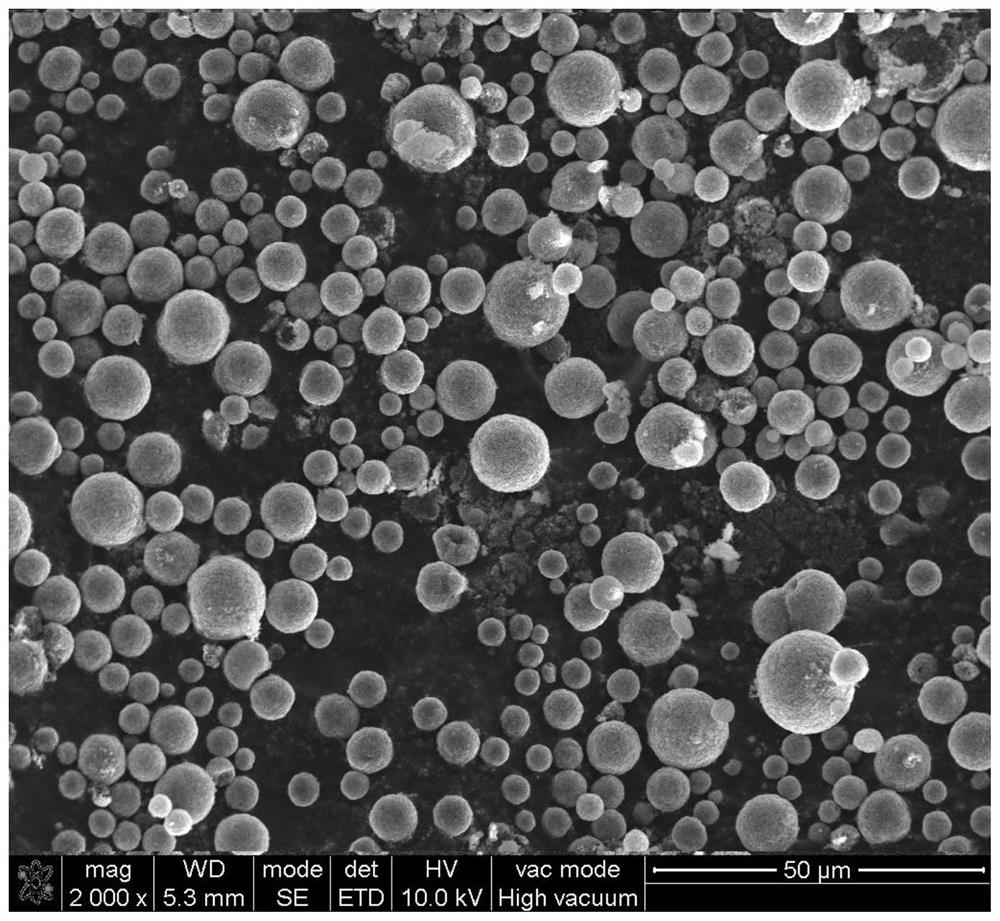 Ferrosilicon composite negative electrode material and preparation method thereof