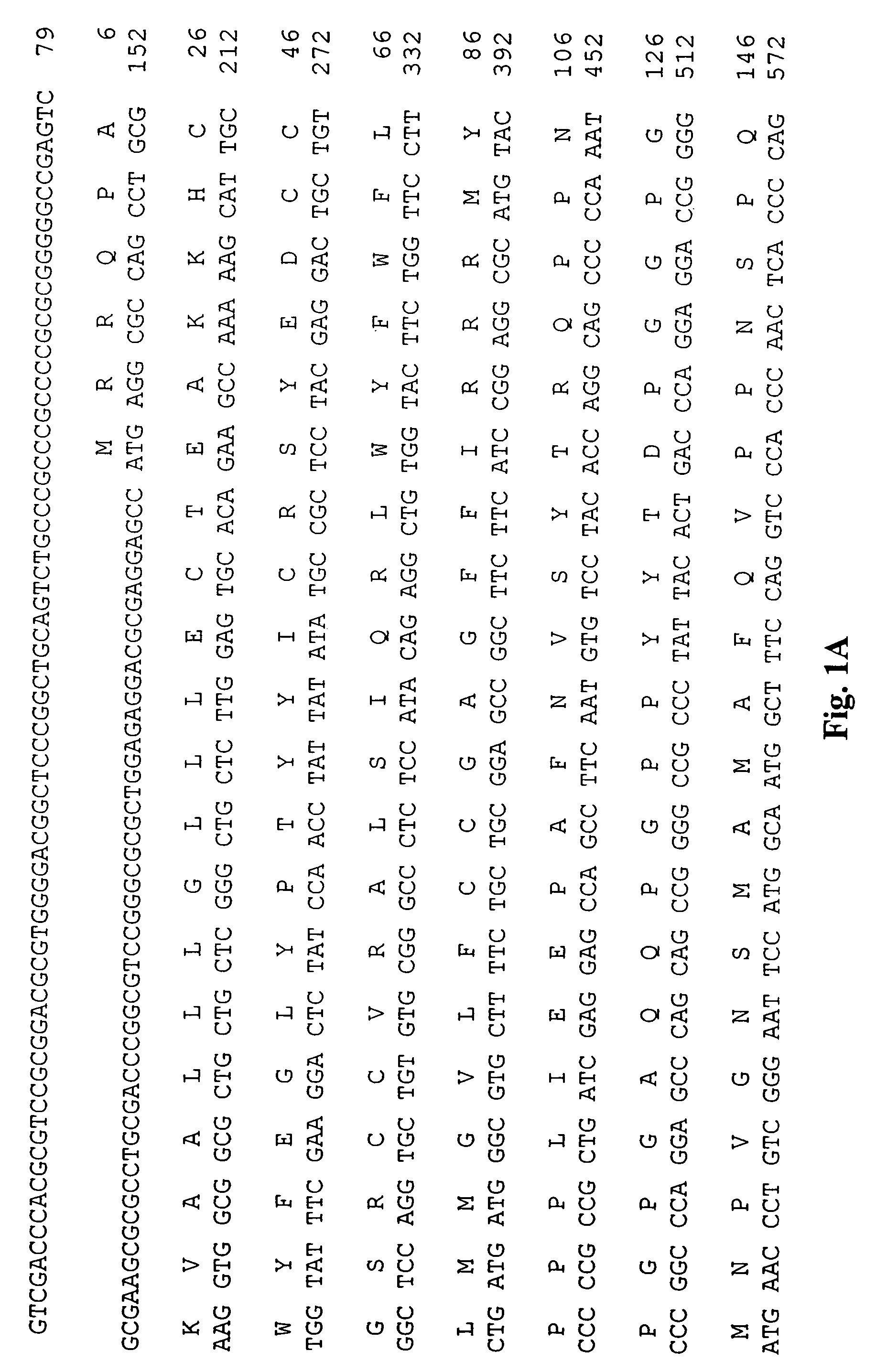 Tango 405 polypeptides and uses thereof