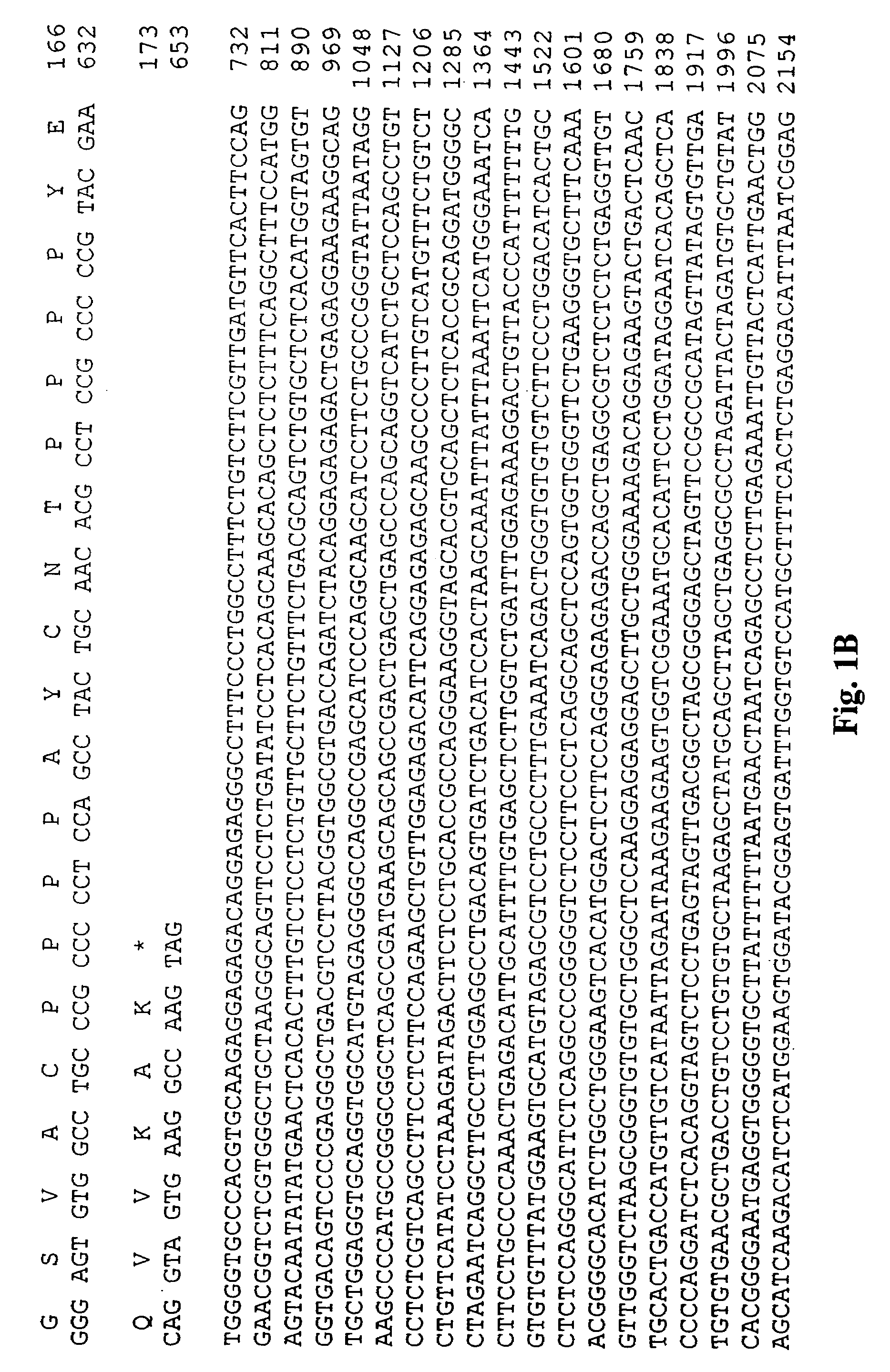 Tango 405 polypeptides and uses thereof