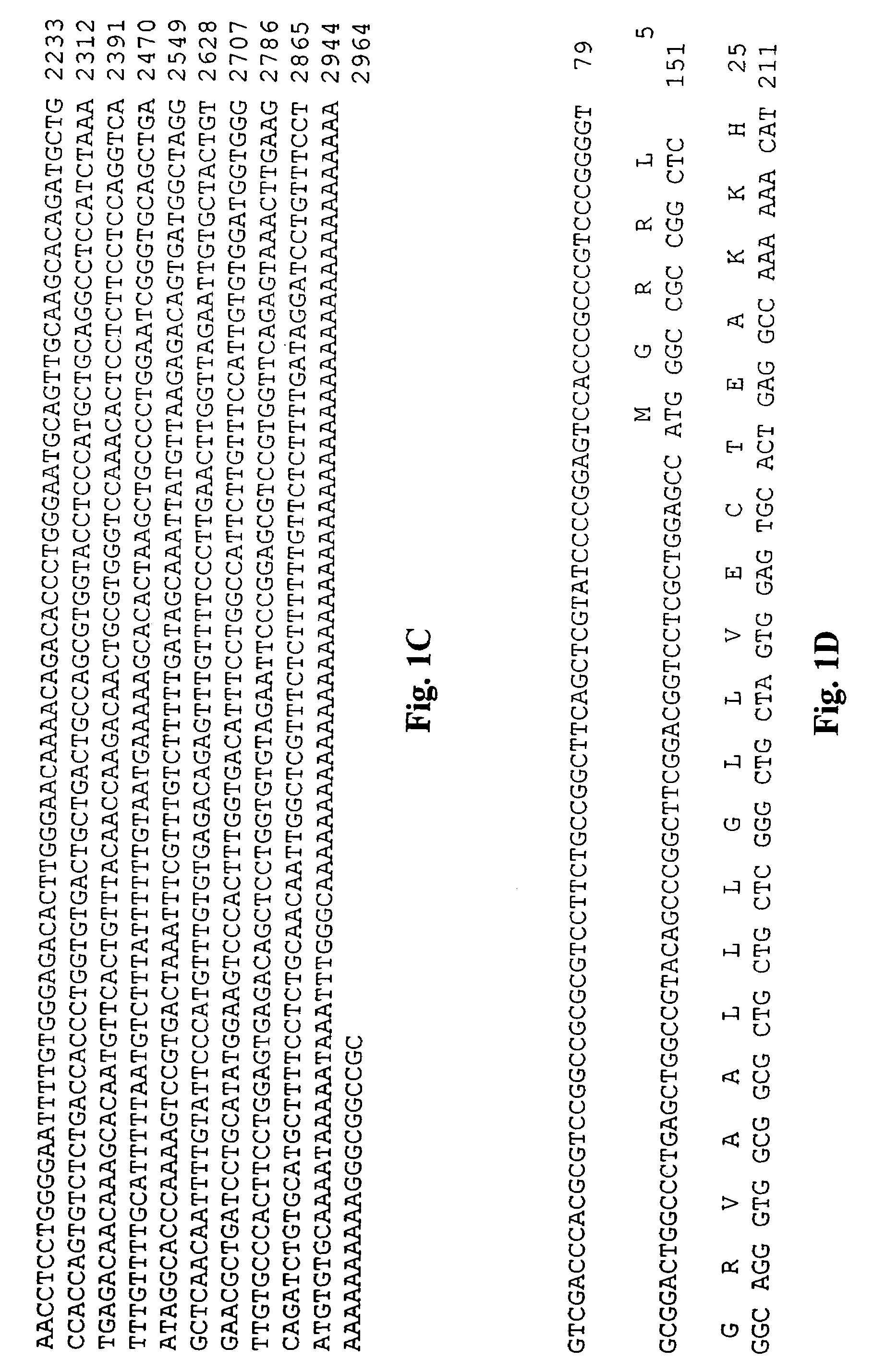 Tango 405 polypeptides and uses thereof