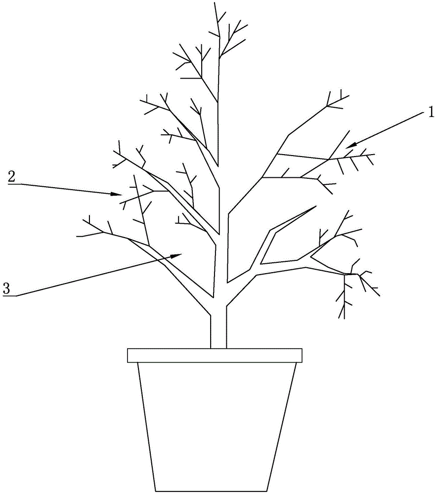Method for pruning Malus halliana
