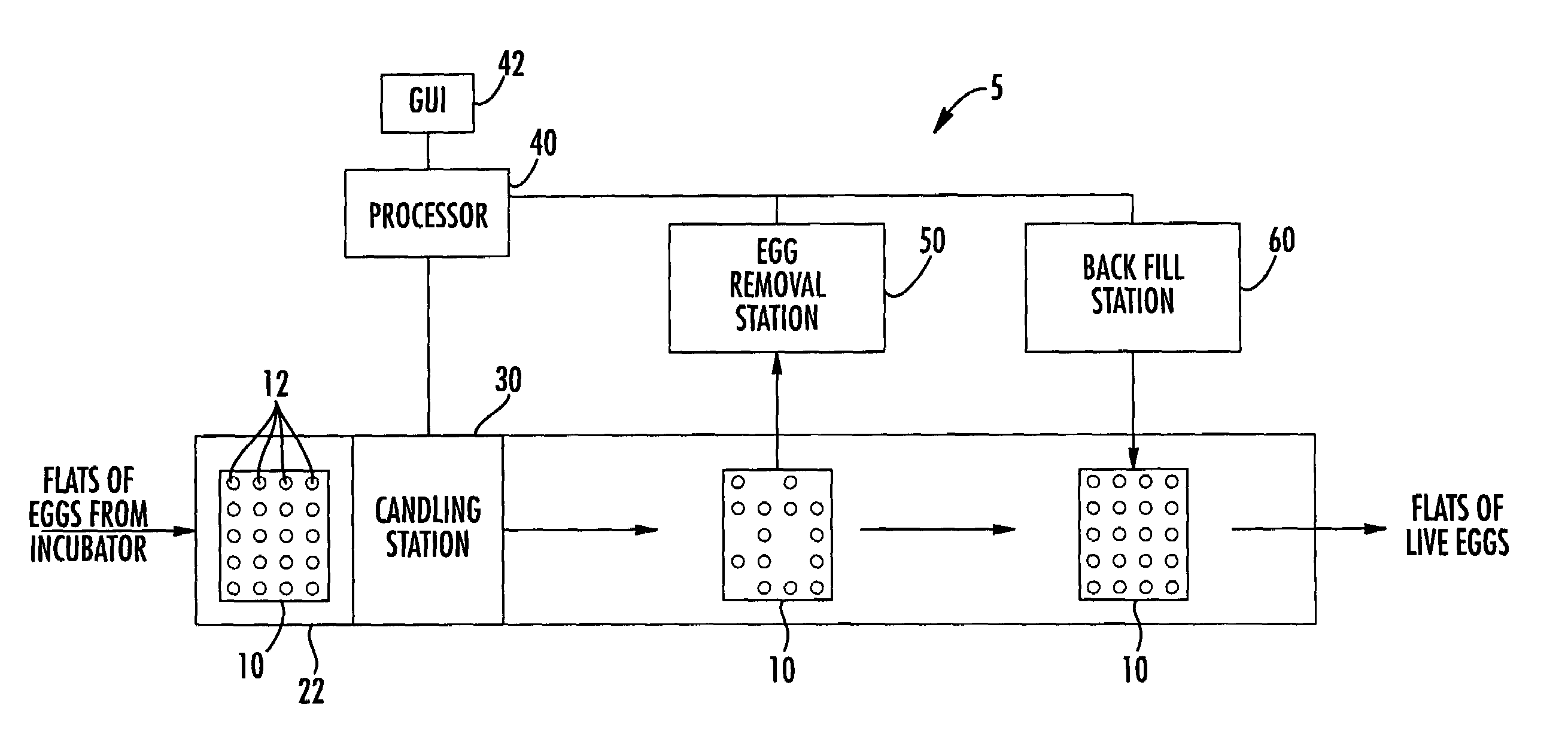 Methods and apparatus for identifying and diagnosing live eggs using heart rate and embryo motion