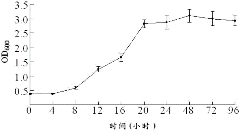 Photosynthetic bacteria sc01 and its rapid culture method and application