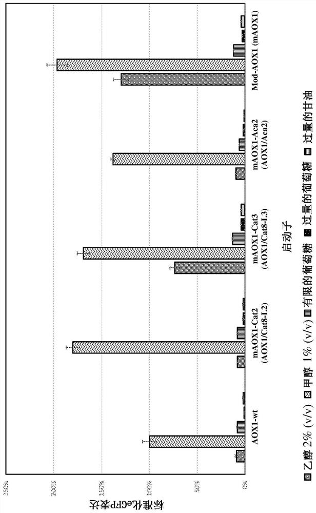 Modified AOX1 promoter variants