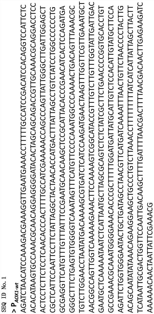 Modified AOX1 promoter variants