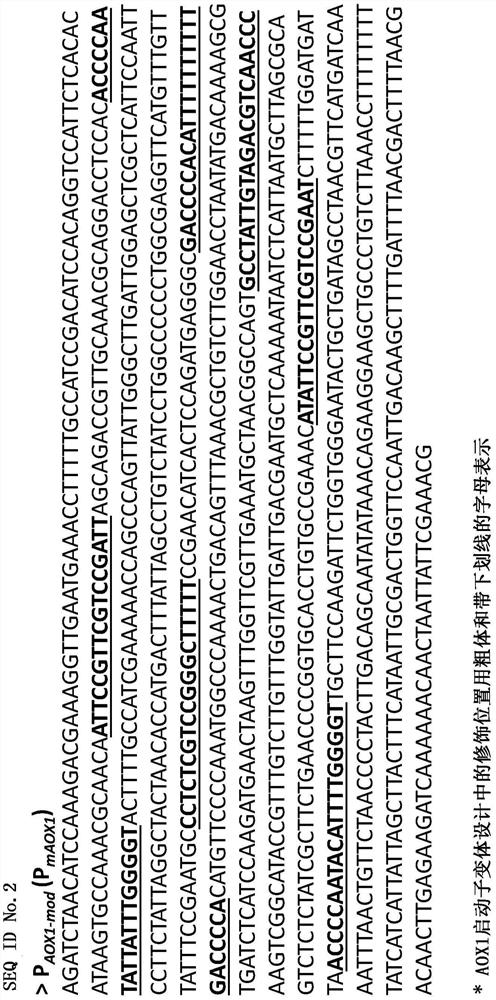 Modified AOX1 promoter variants