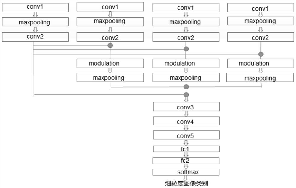 Fine-grained image classification method and system based on saliency branch feature fusion