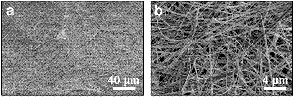 Hydroxyapatite ultra-long nanowire fire-resistant paper with waterproof function