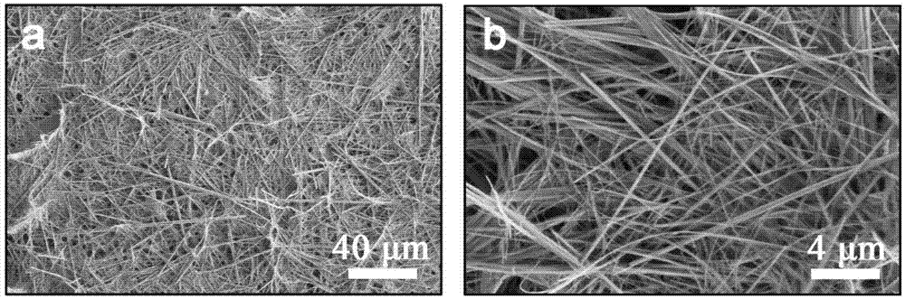 Hydroxyapatite ultra-long nanowire fire-resistant paper with waterproof function