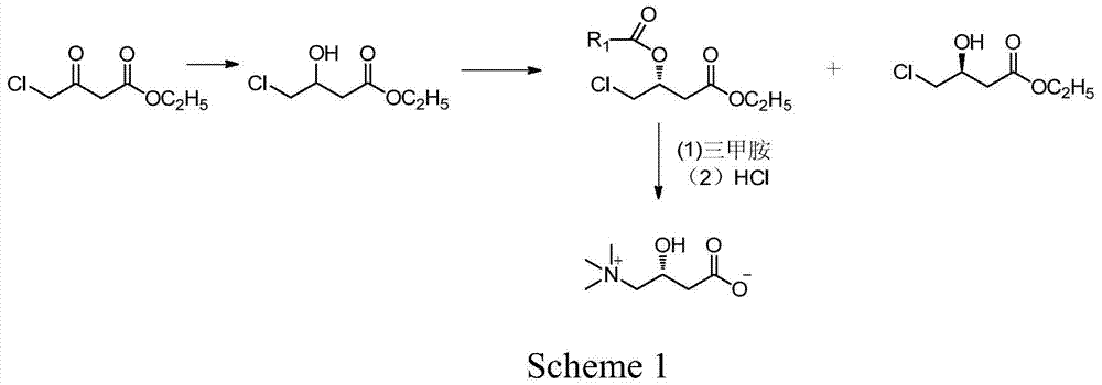 A kind of preparation method of highly optically pure l-carnitine