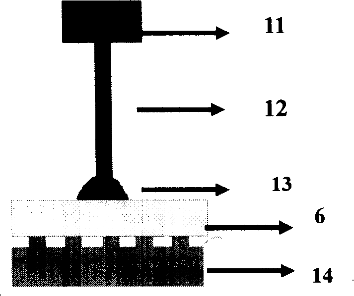 Method for preparing GaAs micro/nono optical element
