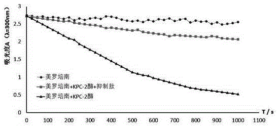 KPC (Klebsiella pneumoniae Carbapenemase) inhibition peptide and application thereof