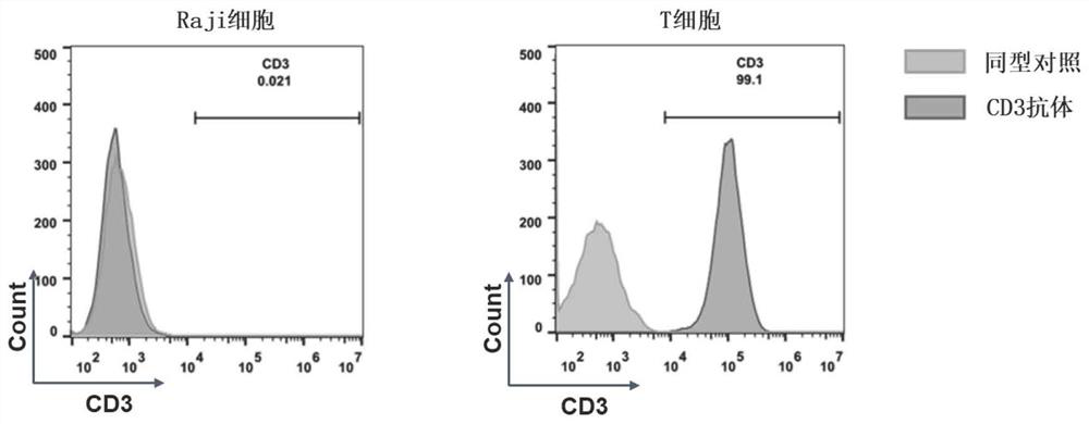 Specific chimeric antigen receptor cell targeting claudin18.2 and its preparation method and application