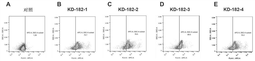 Specific chimeric antigen receptor cell targeting claudin18.2 and its preparation method and application