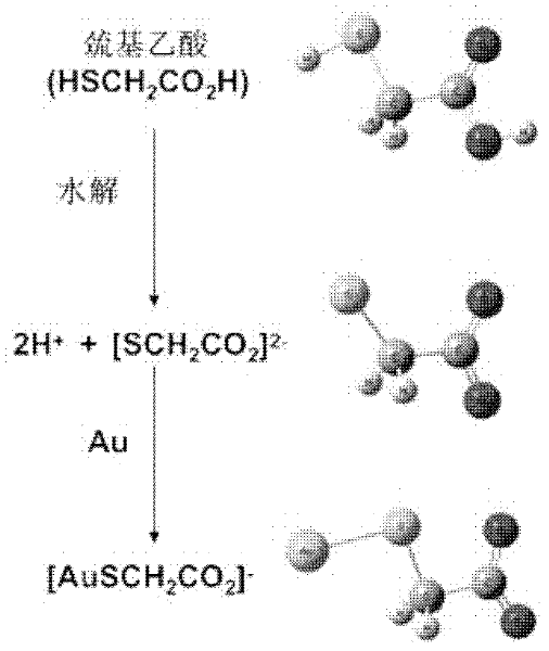 Nanogold solution and method for detecting Co&lt;2+&gt; by using same