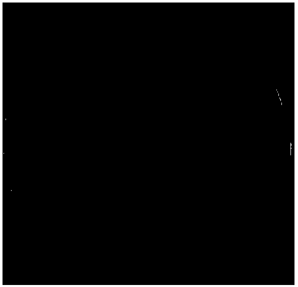 Bacillus licheniformis serving as pesticide surface active agent and application thereof