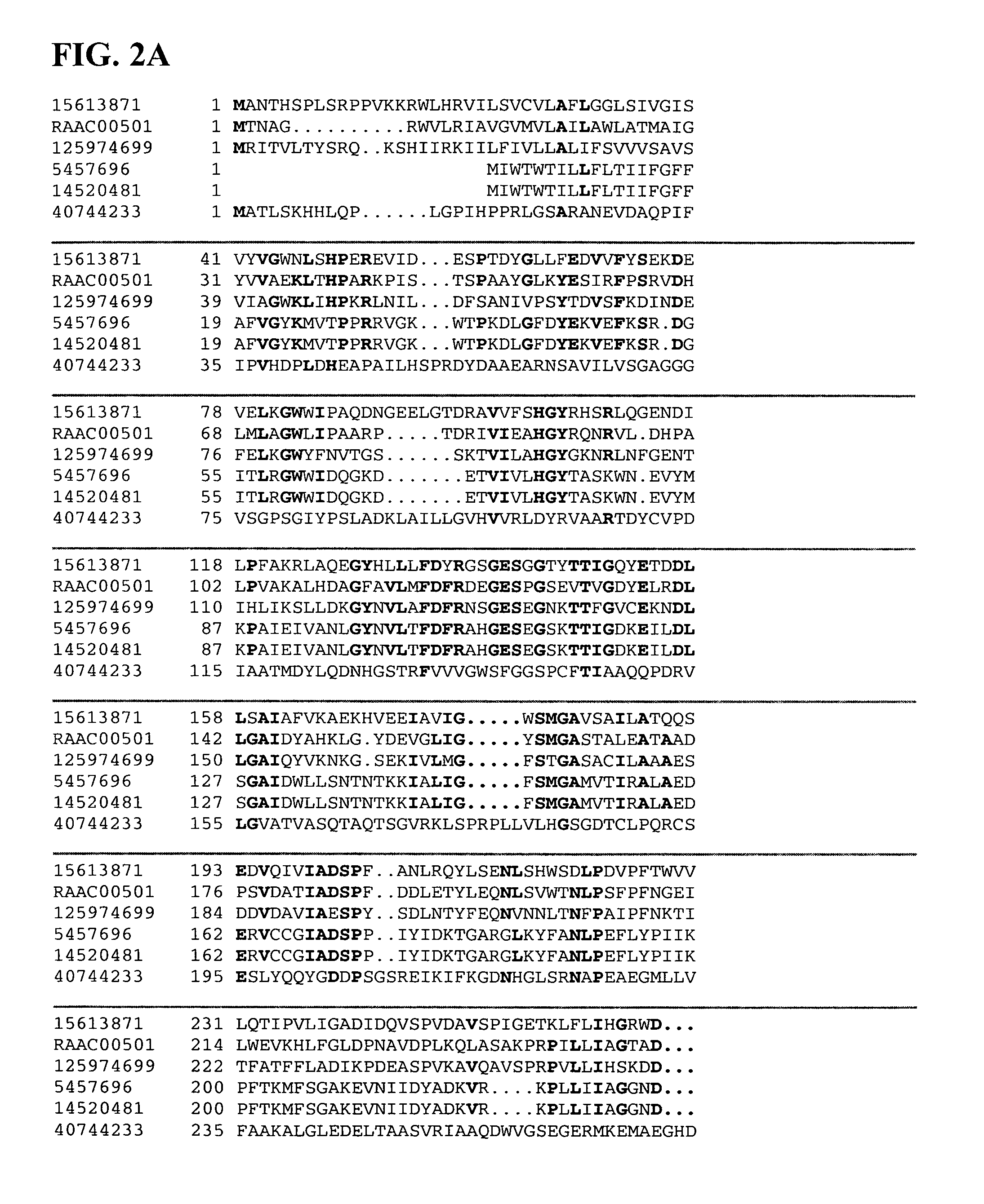 Thermophilic and thermoacidophilic biopolymer-degrading genes and enzymes from Alicyclobacillus acidocaldarius and related organisms, methods