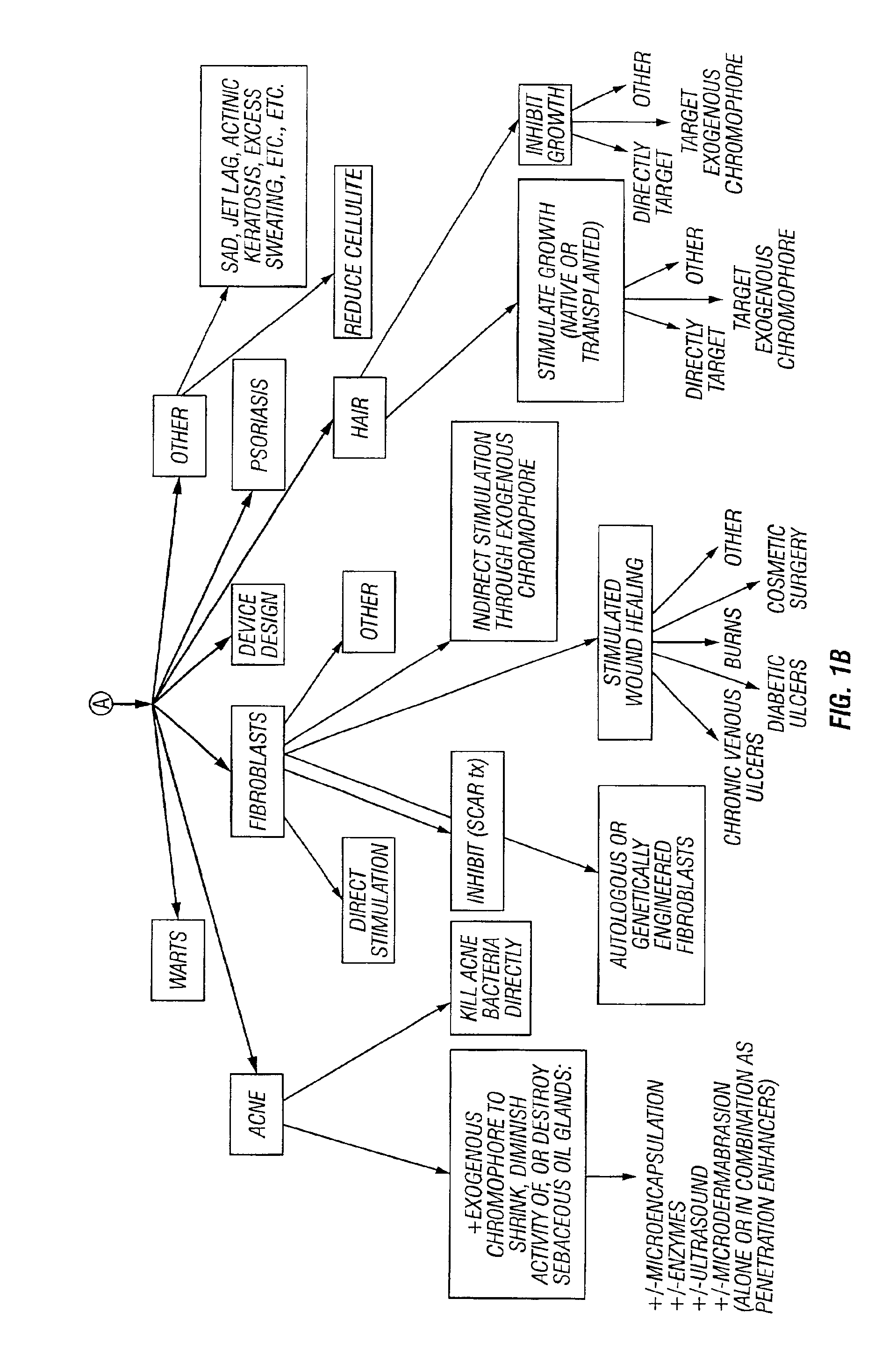 Method and apparatus for the stimulation of hair growth