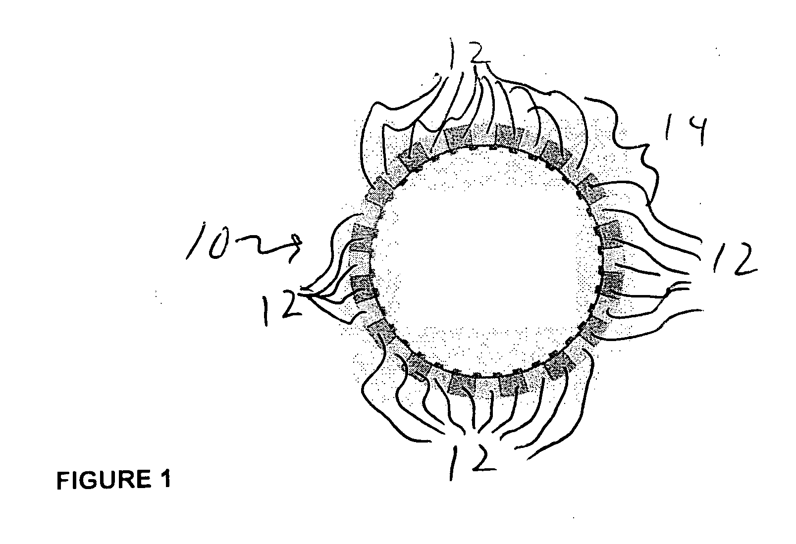 Assembly process for scrapless clutch plate assembly