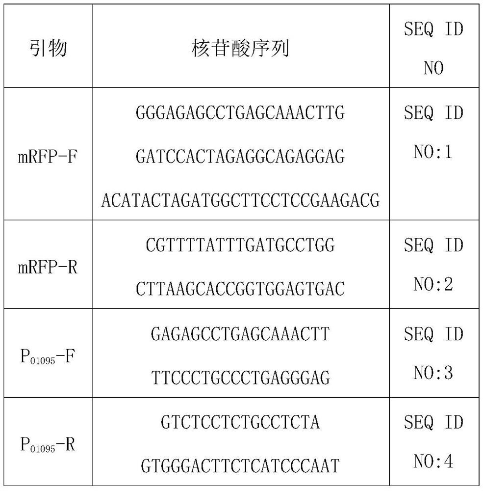 Function identification of promoter of source sequence of gluconacetobacter xylinum and application of promoter in promotion of synthesis of bacterial cellulose