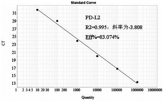 Construction and real-time detection of gene abundance of chicken peripheral blood mononuclear lymphocytes pd-l2 recombinant plasmid and its application