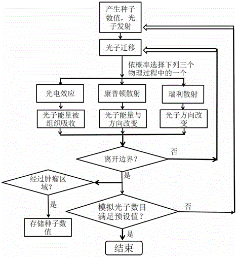 Double-step Monte Carlo simulation method applied to radioactive ray dose computation