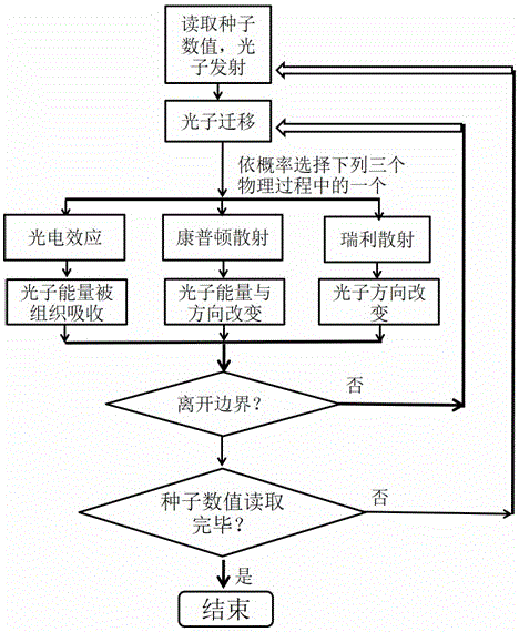 Double-step Monte Carlo simulation method applied to radioactive ray dose computation